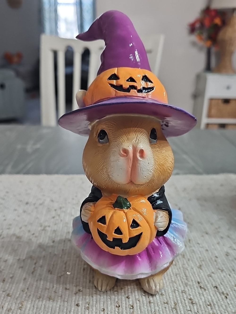 New! Halloween Capybara with Pumpkin and Witch Costume